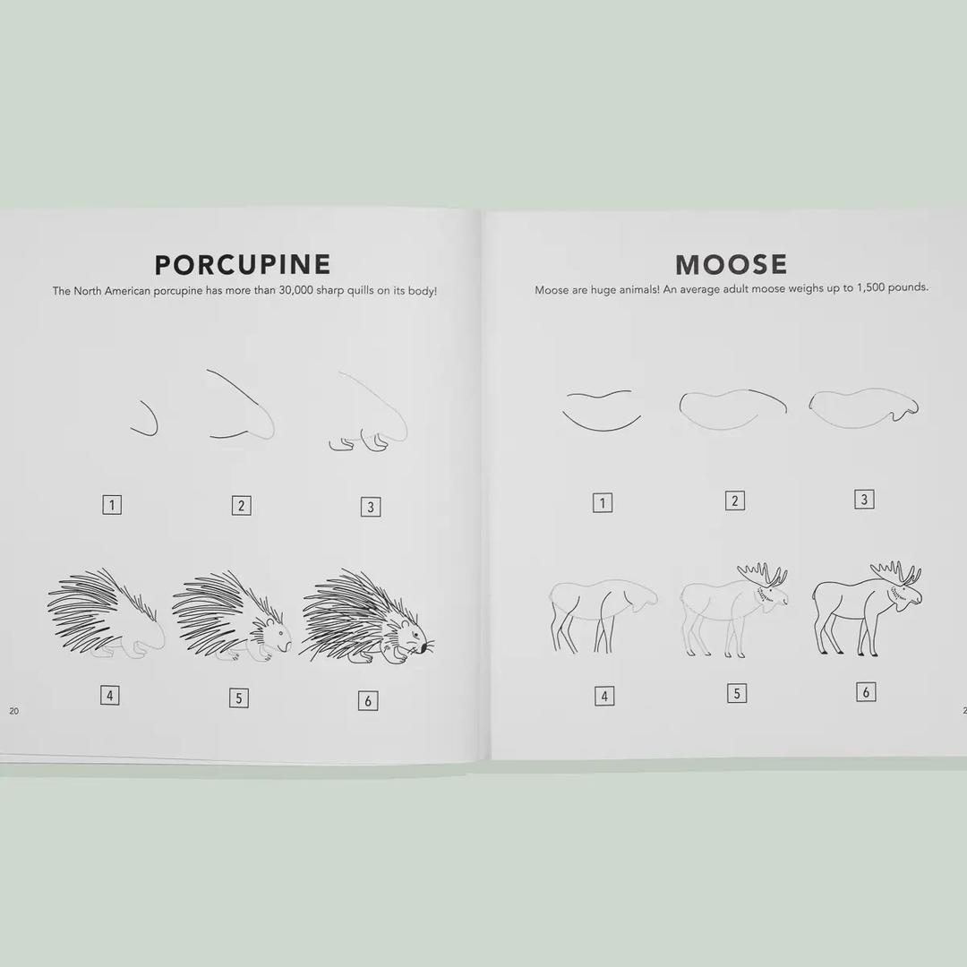 Mushroom & Woodland Creatures Kids Drawing Book